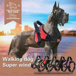 Dog Collars & Leashes 2021 Spot Manufacturers Direct Sale Of Pet Supplies In The Large Collar Traction Rope Chest Strap