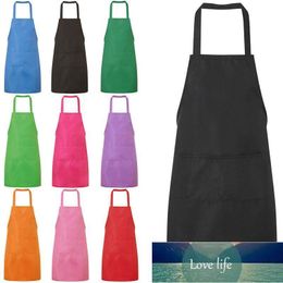 Colorful Cooking Apron Kitchen Cooking Keep the Clothes Clean Sleeveless and Convenient Custom Gift Adult Bibs Universal Ap1
