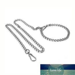 Dog Collars & Leashes Stainless Steel Chain Durable Type-p Silver Adjustable Dogs Leash Double Head Buckle Seamless Welding Necklace Marting Factory price expert