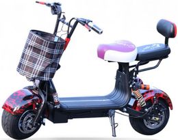 Removable battery mini electric scooter with two seats 800W motor mechanical disc brake