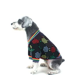 Colourful Pets Sweater Brand Clothes Full Letter Pet T Shirt Dog Apparel Winter Warm Schnauzer Dogs Clothing