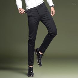 Men's Pants Casual Summer Thin Trousers Loose Straight Business Elastic Youth Non Iron Long