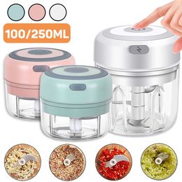 100/250mL Vegetables Tools Mini Electric Garlic Chopper USB Charging Ginger Masher Machine Sturdy Durable Chilli Vegetable Crusher Kitchen Tool ZC583