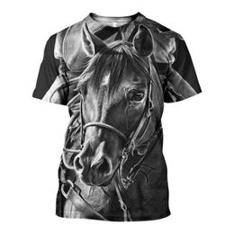 Cavallo señora camisa polo Pergamo