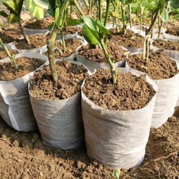 eco pot Canada - Planters & Pots 100 50PCS Seedling Plants Nursery Bags Organic Biodegradable Grow Fabric Eco-friendly Ventilate Growing Planting