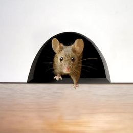 Wall Stickers Diy 3d Mouse Hole Decal Creative Scaredy Mice Sticker Realistic Stair Indoor And Outdoor Decoration #38