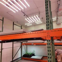 LED Grow Lights Replace HPS High PPFD Full Spectra Samsung LM2835 Strip for Indoor Plant Growth with