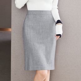 Fashion Women Skirt 2021 Hot New Autumn Business Skirt Temperament Elegant Office Package Hip Skirt