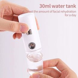 Taibo Beauty Face Humidifier Small Air Facial Steamer USB 30ML Ultrasonic Charging Device