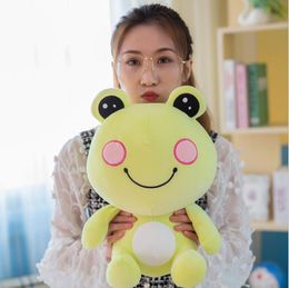 Multi-size soft mung bean frog prince plush toy and down cotton sitting version of the frogs rag doll pillow