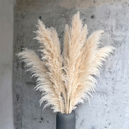 1-1.1m Large Pampas Grass Fluffy Natural Dryness Wedding Bouquet Tall Dried Flower Ceremony Modern Home Garden Decoration Reed 220311