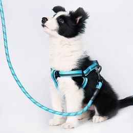 5 Colours Nylon Reflective Hauling Cable Braided Pet Leashes Round Dog Training Running Leash for Sale