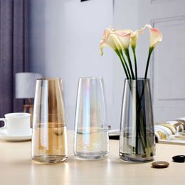 Aurora Symphony Glass Vases Transparent Flower Arrangement For Desktop Decoration Home Decorations Symphony Glass Vase XHZ 210623