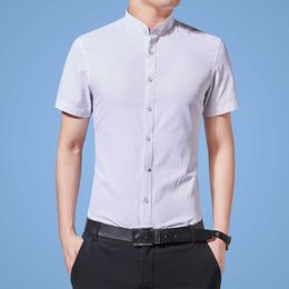 High Quality Boutique Men's Luxury Shirts Stand Collar Slim Fit Short Sleeve 100% Cotton Daily Casual White Shirt 4XL 5XL 210528
