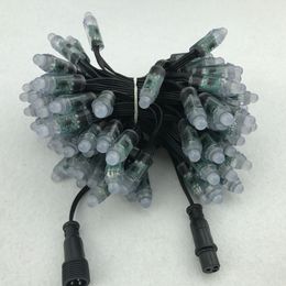 100pcs DC12V WS2811 bullet LED pixel Modules 100ct BLACK wire 18awg with Ray wu/paul zhang/xconnect connector