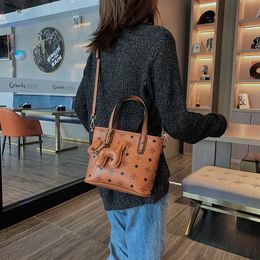 Daily Bag Internet Celebrity Small Bag Womens 2023 New High-Grade Korean Style Versatile Mini Bucket Bag Casual Shoulder Messenger