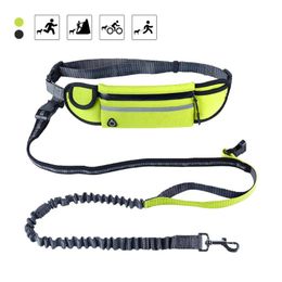 Pet Supplies Waterproof Waist Bag Sports Running Hand Holding Rope Multifunctional Traction Belt Dog Leash Accessories Collars & Leashes