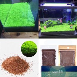 Aquarium Plant Seed Fish Tank Aquatic Aquatic Plant Seed Easy Aquarium Landscaping Decorative1 Factory price expert design Quality Latest Style Original Status