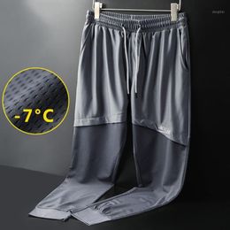 Men's Summer Casual Pants With Ultra Thin Mesh Ninth Hong Kong Wind Speed Dry And Fresh Harem Fashion Sportswear