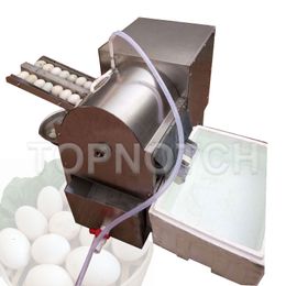 Small Electric Kitchen Egg Washing Cleaning Machine Duck Eggs Washer