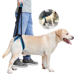 Pet Dog Harness Hind Leg Help Walking Dogs Pet Go Up The Stairs Get In The Car Balance Harness Auxiliary Belt Dog Accessories 211006