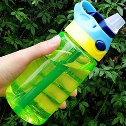 New hot Fashion 480 ml Cute Baby Water Cup Leak Proof Bottle with Straw Lid Children School Outdoor Drinking Training