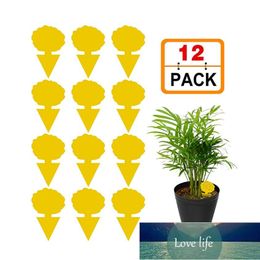 12Pcs Insect Catcher Double-sided Sticky Flies Traps Bug Fly Stickers For Garden Pest Control Sticky Traps Flycatcher Factory price expert design Quality Latest