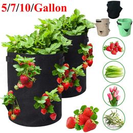 Garden Outdoor Planting Grow Bag Strawberry Vertical Flower Herb Pouch Root Breathable Vegetable Round Reusable Pot Planter D30 210615