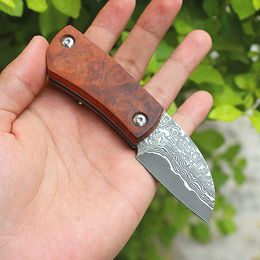 Promotion Small Damascus Folding Knife VG10 Damascuss Steel Blade Stainless Steels Sheet + Rosewood Handle EDC Pocket Knives