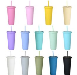22OZ Mugs TUMBLERS Matte Coloured Acrylic with Lids and Straws Double Wall Plastic Resuable Cup