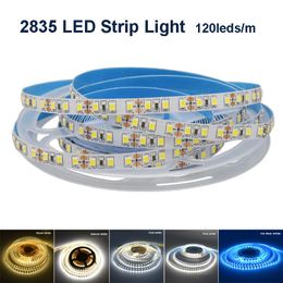 led soft strip light Canada - Led Strip Lights 2835 DC12V 24V 120LEDs m 8mm Width 5M Low Voltage Soft Lamp For Home Decoration Colorful Strips