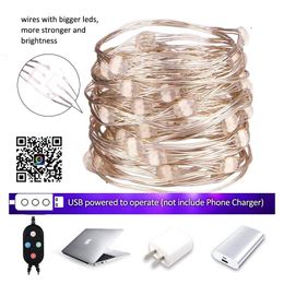 Strings High Quality Copper Wire Light String LED Lights For Christmas Tree IP65 USB Night Fairy