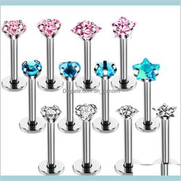 316L Surgical Steel Zircon Screw Earring Tragus Cartliage Piercings Labret Piercing Body Jewellery K54Xq Studs Wjoiy