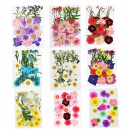Decorative Flowers & Wreaths Pressed Mini Dried DIY Scrapbooking For Home Wedding Christmas Navidad Party Decoration Flores Secas
