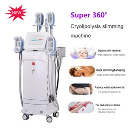 Multi-function vertical cryo lipolysis slimming ultrasonic cavitation radio frequency 360 slim anti cellulite treatment Cool lipo laser lose weight