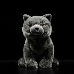 Simulation Cute British Shorthair Cat Tabby Felinae Stuffed Soft Plush Toy Grey Kitten Real Life Animal for Child New Year Gift Q0727