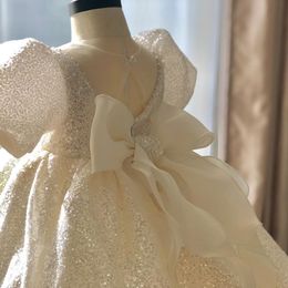 Lace Ball Gown Wedding Dresses Baby Dresses for Girls Baptism Clothing Infant 1 Year Birthday Party Gowns Toddler Princess Wedding Gown Girl Frocks