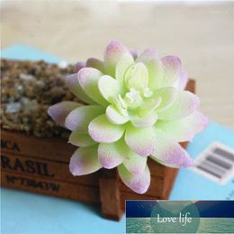 Decorative Flowers & Wreaths Mini Artificial Succulent Plants Lotus Landscape Flower Green Fake Succulents Plant Garden Arrangement Decor1 Factory price expert