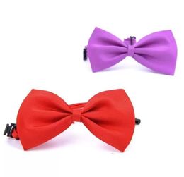 20pc/lot 2021 new sale solid color butterfly pet cat puppy dog bow tie Grooming Supplies