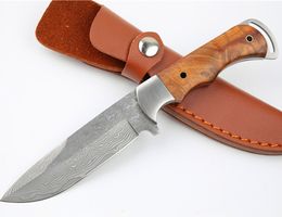 Top Quality Outdoor Survival Straight Hunting Knife Damascus Steel Drop Point Blade Full Tang Shadow Wood Handle Fixed Blades Knives With Leather Sheath