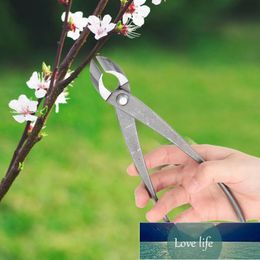 210mm 8 inch Garden Branch Cutter Forged Steel Round Edge Beginner Scissors Cutter Knife Bonsai Tools Garden Tree Cutter