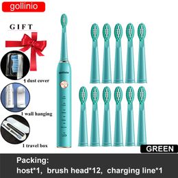 gollinio Toothbrush electronic sonic electric toothbrush usb fast charging GL41C teeth brush case Rechargeable Replacement Head 220224