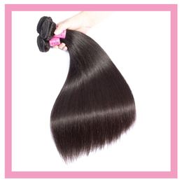 Malaysian Unprocessed Human Hair Extensions 2 Pieces/lot Straight Two Pcs 10-30inch Double Wefts