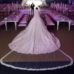 Gorgeous Cathedral Wedding Veils Lace Appliqued Edge Soft Tulle One Layer Long Tailored Bridal Veil With Comb