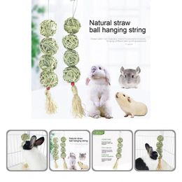 animals supplies Canada - Small Animal Supplies Natural Eco-friendly Grass Snack Toy Playing Hamster Nutritious For Guinea Pig