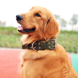 Dog Collars & Leashes Gold Collar For Large Dogs Xl Luxury Pet Nylon Green/black Pitbull Big