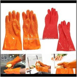 Disposable Vegetable Cleaner Pvc Bpa- Gloves Suitable For Warm And Cold Water Hyd88 Ygbn0 Nh1Cs