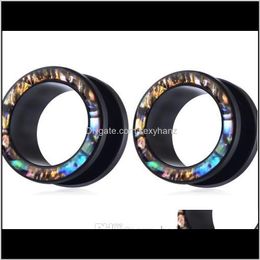 & Tunnels Drop Delivery 2021 Acrylic Tunnel Plugs Shellhard Shell Uv Earring Gauges Stretching Body Piercing Jewellery Ear Expanders 70Pcs 7 Si