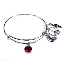 Hot Sell Crystal Birthstone Bangles for Women Jewellery Steel Bangle Charm Bracelet B18103 Q0719
