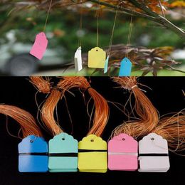 Other Garden Supplies 100pcs PVC Plant Tags Labels Flower Pots Hangling Markers Sign Tree Waterproof Herbs Seeeding Tools Color